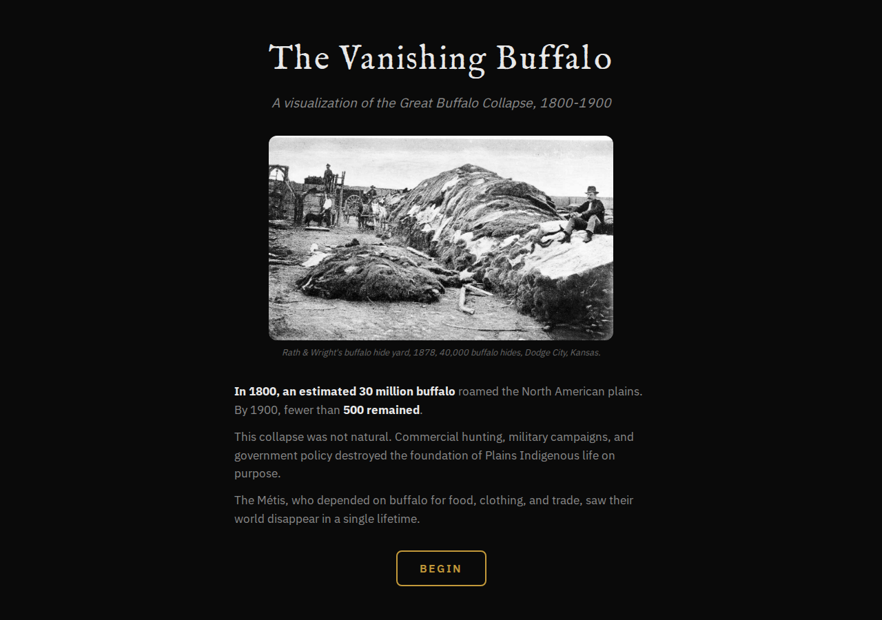 Buffalo Counter visualization